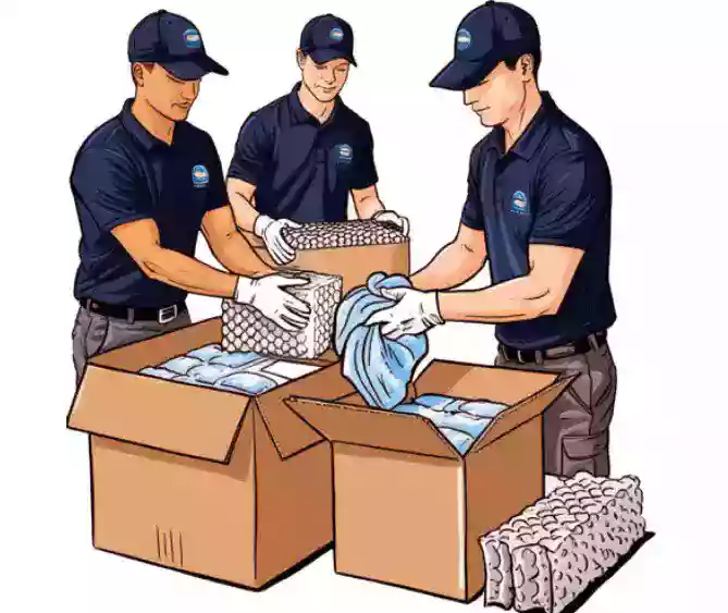 Packing and Moving Service in Roni Nagar