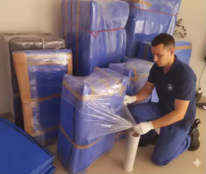 Packing and Moving Service in Danapur
